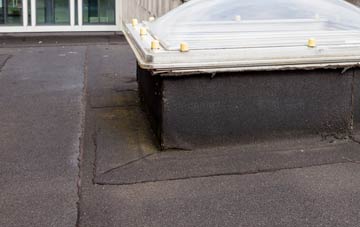 disadvantages of Thunder Bridge flat roofs