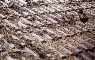 Thunder Bridge roof cleaning companies