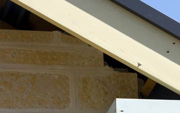 soffit repair Thunder Bridge