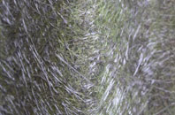 Thunder Bridge fibreglass roof work