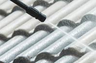 rated Thunder Bridge roof cleaning companies